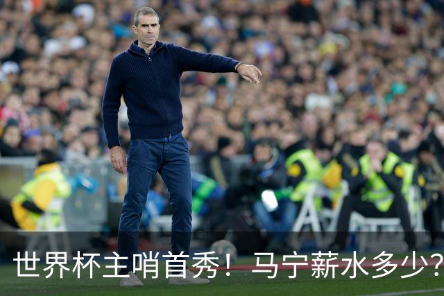 世界杯主哨首秀！马宁薪水多少？主裁判5万美元+单场奖金2000美元
