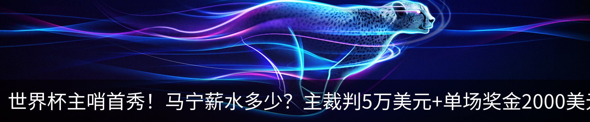 最新动态